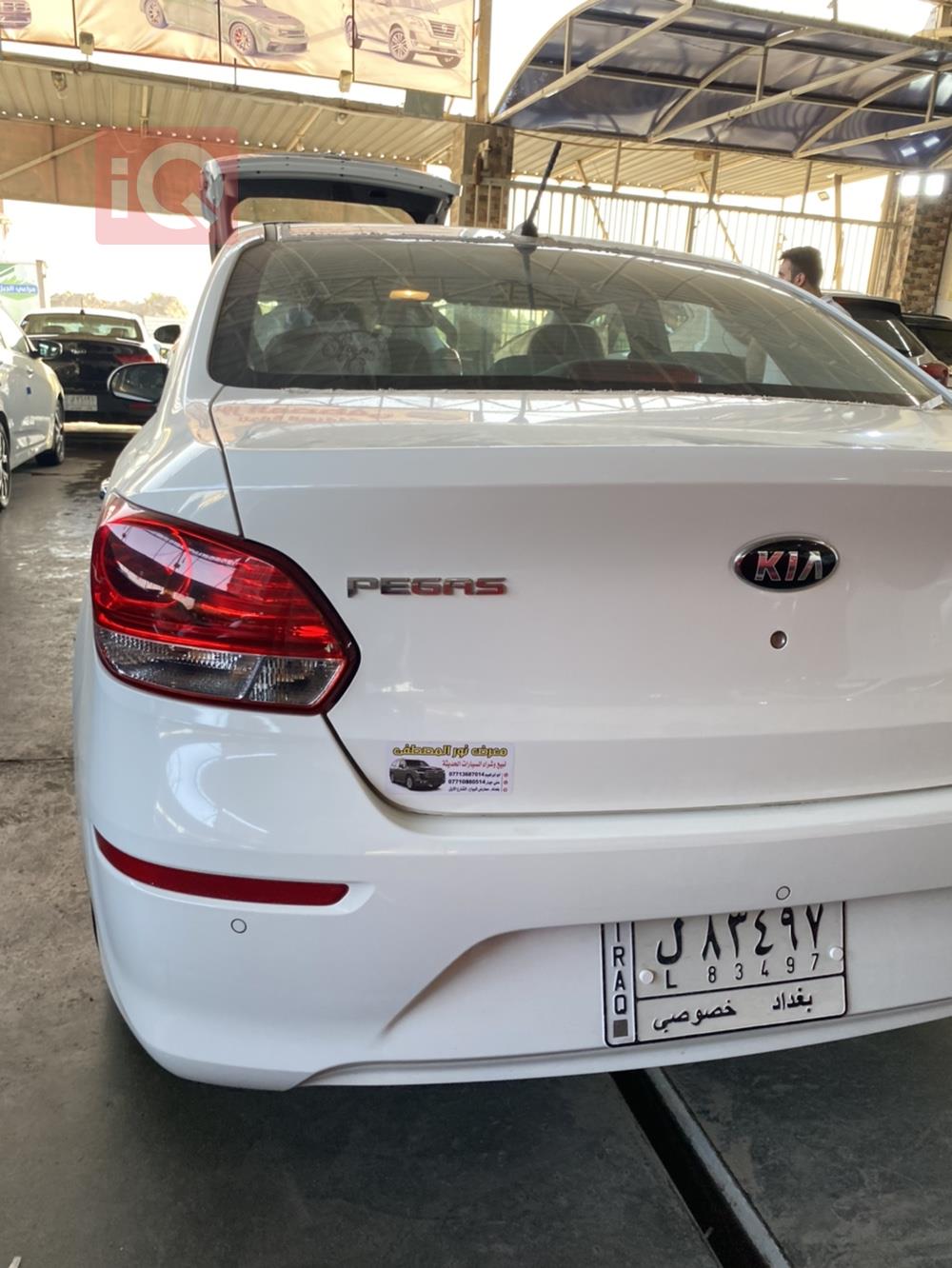 کیا پێگاس